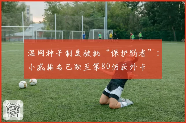 温网种子制度被批“保护弱者”：小威排名已跌至第80仍获外卡