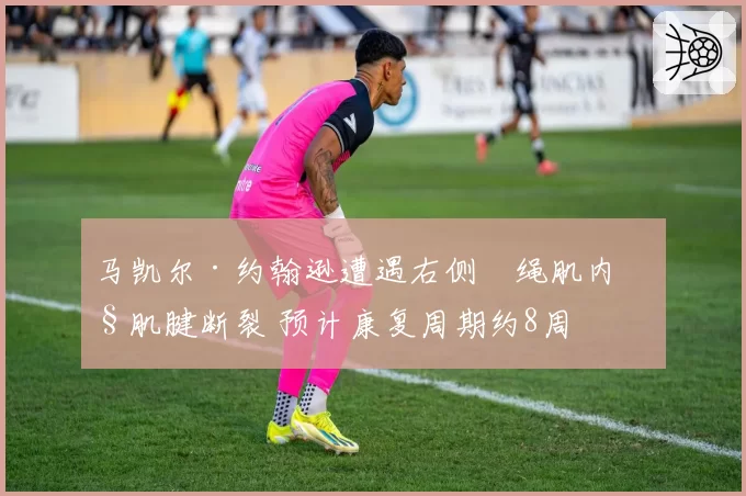 马凯尔·约翰逊遭遇右侧腘绳肌内侧肌腱断裂 预计康复周期约8周