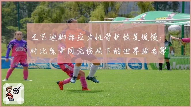 王艺迪脚部应力性骨折恢复缓慢，对比陈幸同无伤病下的世界排名攀升
